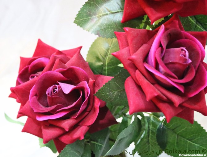 گلدان گل رز لمسی سرخابی 5 شاخه | گل فروشی گل کالا | 55 هزار تومان