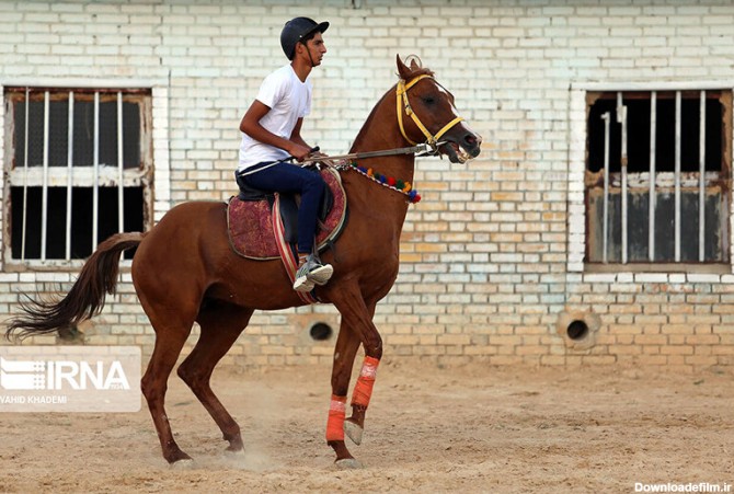 همشهری آنلاین - تصویر | مسابقات پرش با اسب در بجنورد