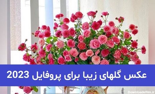 عکس نوشته گل برای گل