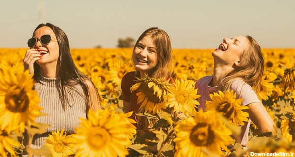 تصویر دختران جوان و خندیدن در مزرعه آفتابگردان | پیکفری