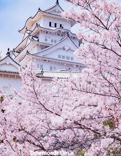 عکس طبیعت زیبای ژاپن - عکس نودی