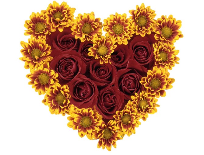قلبی ساخته شده از گل های زرد و قرمز