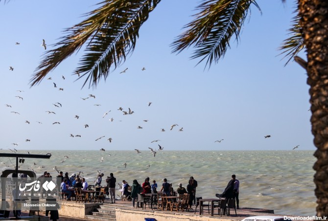 صبح پاییزی در ساحل بوشهر | خبرگزاری فارس