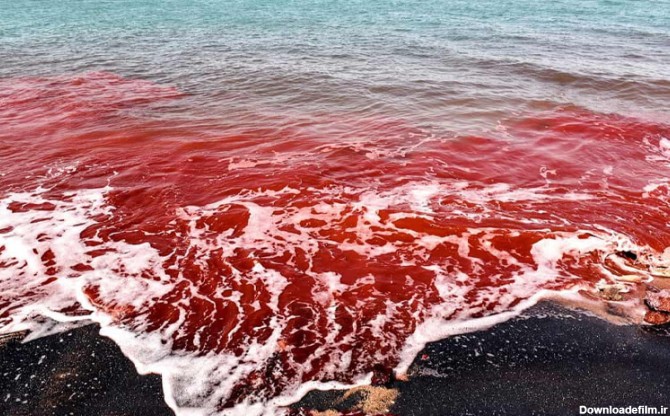 عکسهای دریای سرخ