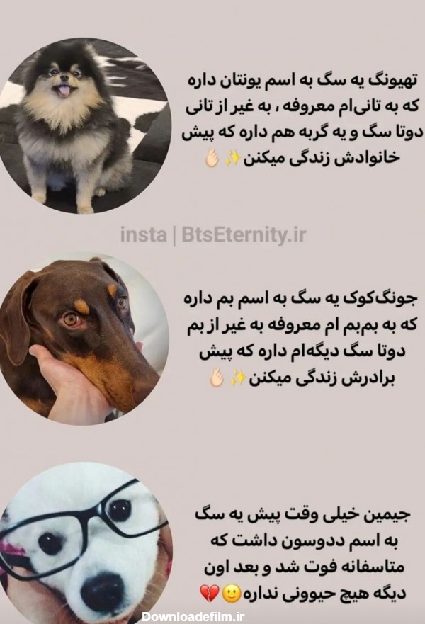 سگ های اعضا - عکس ویسگون