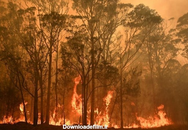 تداوم آتش‌سوزی جنگل‌ها در استرالیا (+عکس)