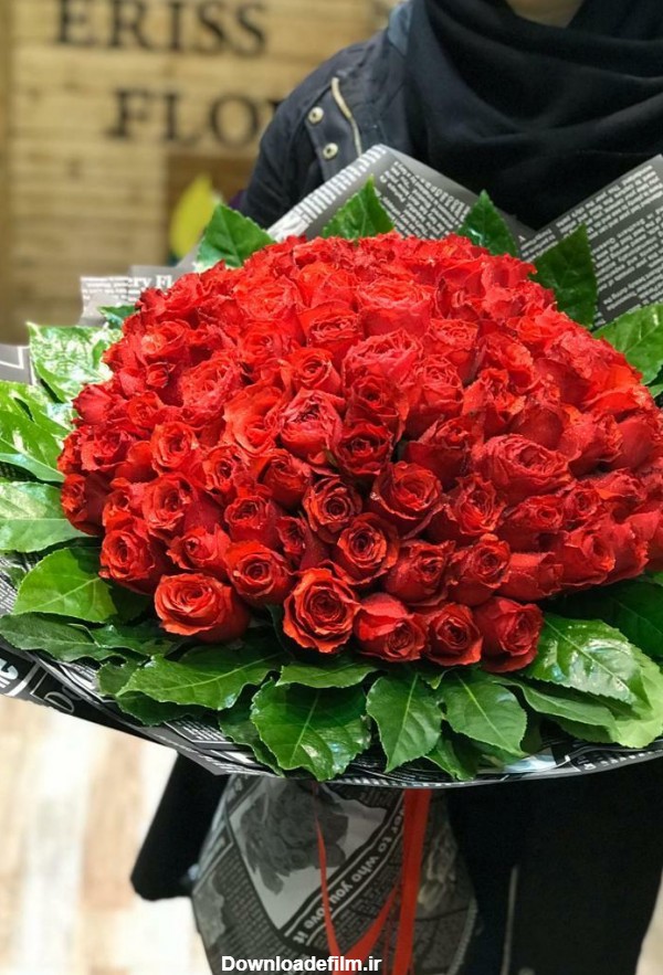 دسته گل 100 شاخه ای رز ایرانی ممتاز | فروشگاه گل اریس