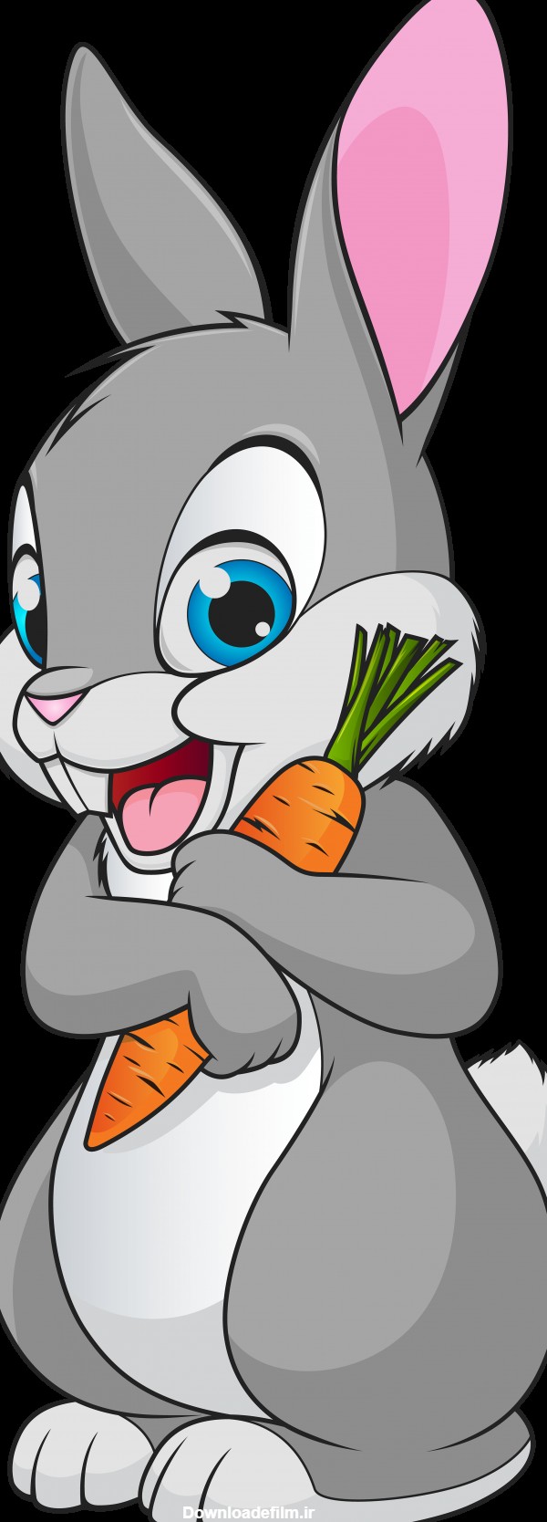 عکس PNG کارتونی خرگوش - Bunny PNG Cartoon – دانلود رایگان