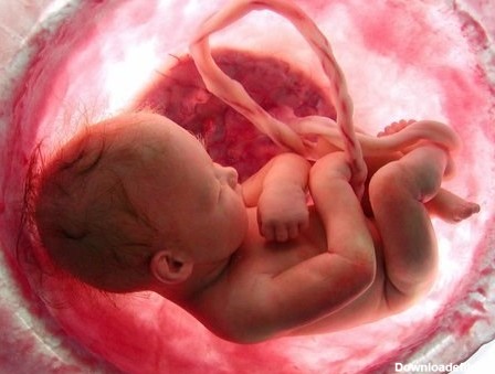 قوانین فعلی "سقط جنین" منجر به صدور مجوزهای بی مورد سقط شده/ لزوم ...