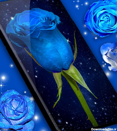 دانلود عکس گل رز آبی متحرک