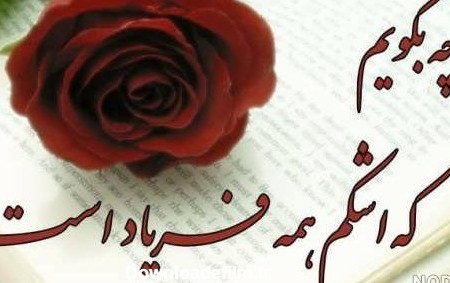 عکس گل نوشته دار عاشقانه - عکس نودی