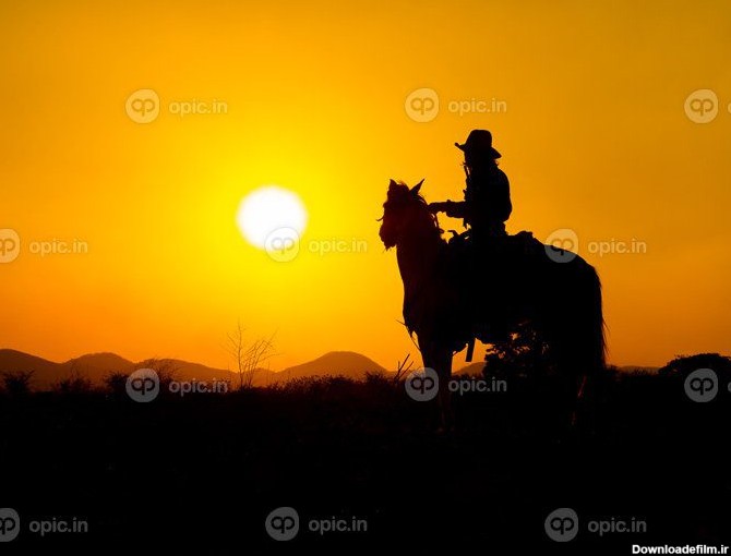 دانلود عکس کابوی های غربی سوار بر اسب زیر آفتاب نشسته اند و | اوپیک