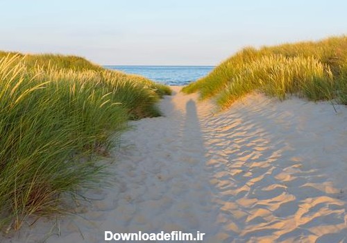 ماسه چمن در ساحل دریا -g3f4e2