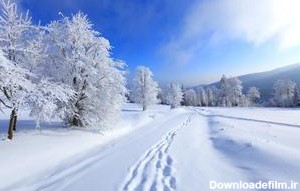 تصاویر زیبا از زمستان طبیعت