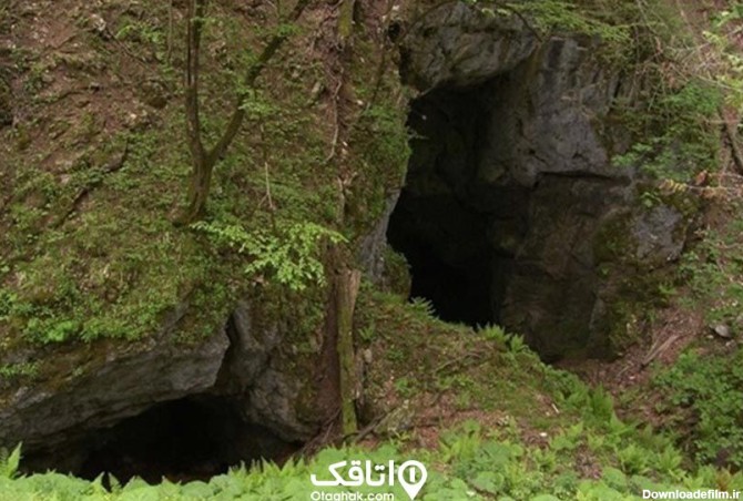 غار آویشو در میان پوششی از خزه و درختان جنگلی