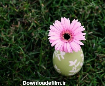 عکس پروفایل گل ، تصاویر گل های عاشقانه و فانتزی زیبا برای پروفایل