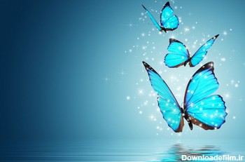 پوستر پروانه های آبی جادویی blue magic butterfy
