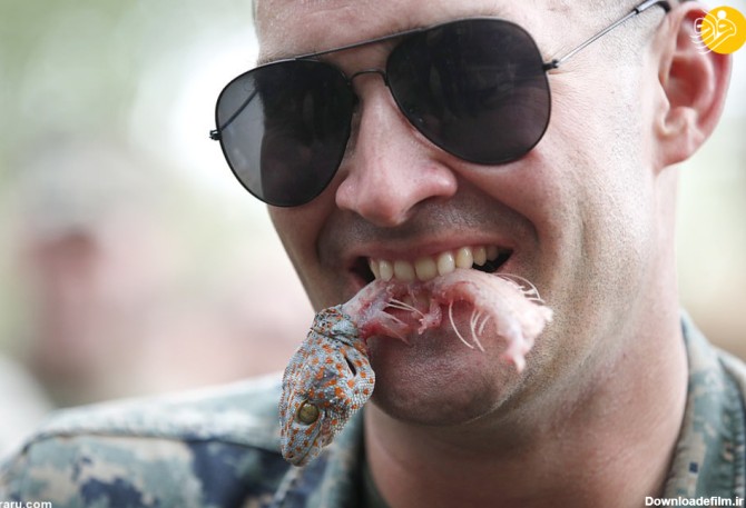 فرارو | (تصاویر) خوردن خون کبرا، عقرب و رتیل توسط سربازان آمریکایی
