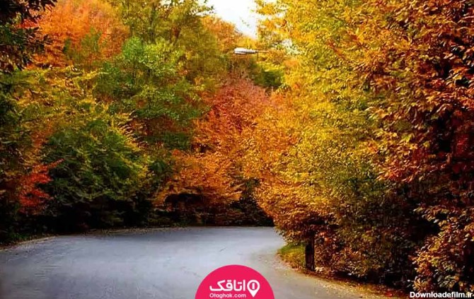 جاده ای که دو طرف آن درختان با برگ های رنگا رنگ پاییزی هستند