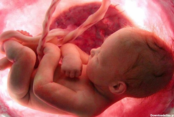 ببینید | تصاویر حیرت‌انگیز از واکنش جنین در رحم مادر به مزه و بو