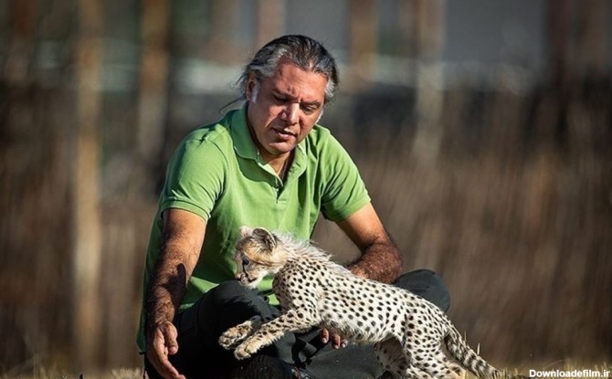 حفاظت از یوزپلنگ ایرانی
