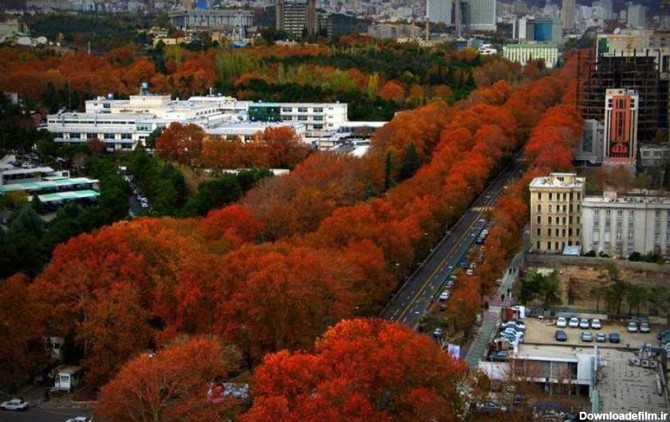 ولیعصر از زیباترین خیابان های تهران برای پیاده روی