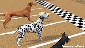 مسابقه جالب سگ‌ها/ ببینید چقدر باهوشه (فیلم)