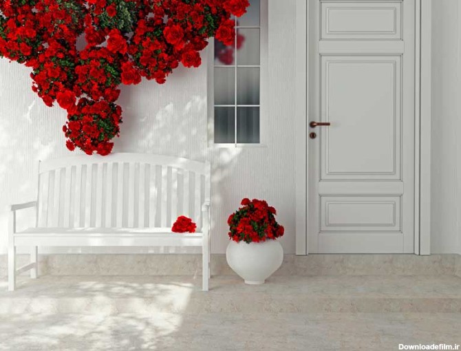 عکس با کیفیت از یک نیمکت چوبی و گلهای قرمز