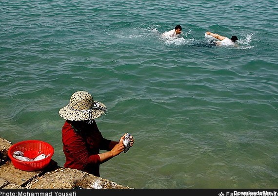 عکس: زندگی مردم در ساحل خلیج فارس | پایگاه اطلاع رسانی رجا