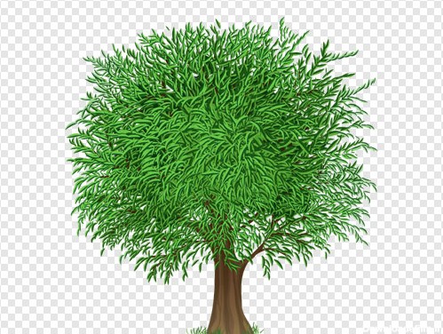 فایل png ترانسپرنت و دوربری شده درخت سبز