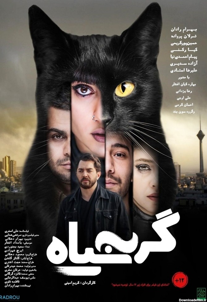 رونمایی از پوستر رسمی گربه سیاه در آستانه اکران
