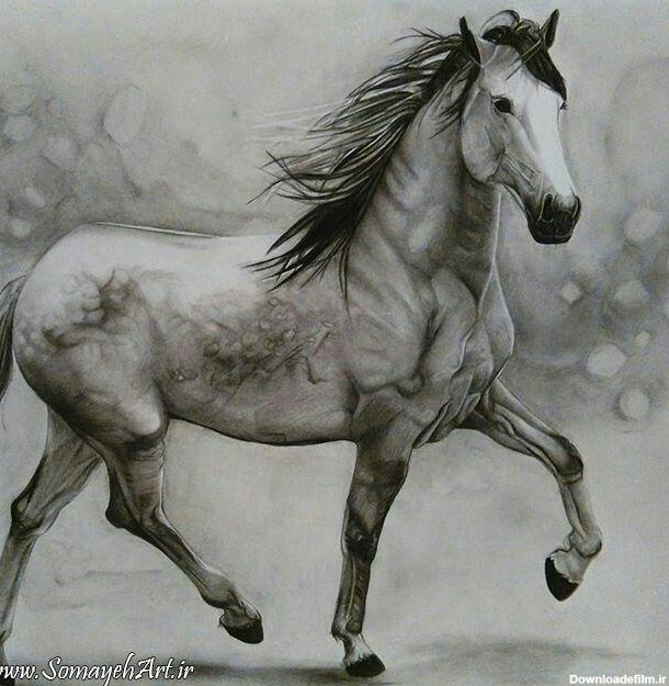 مدل نقاشی اسب مناسب برای نقاشی سیاه قلم و رنگ روغن - نقاشی سمیه فتحی