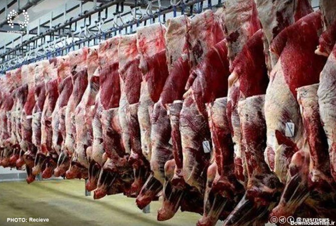 ۱۰۰ کیلو گرم گوشت خوک در ارومیه کشف شد-/Portals/_default/skins ...