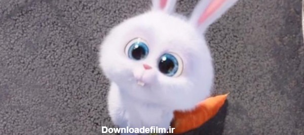 عکس خرگوش در فیلم حیوانات خانگی - عکس نودی
