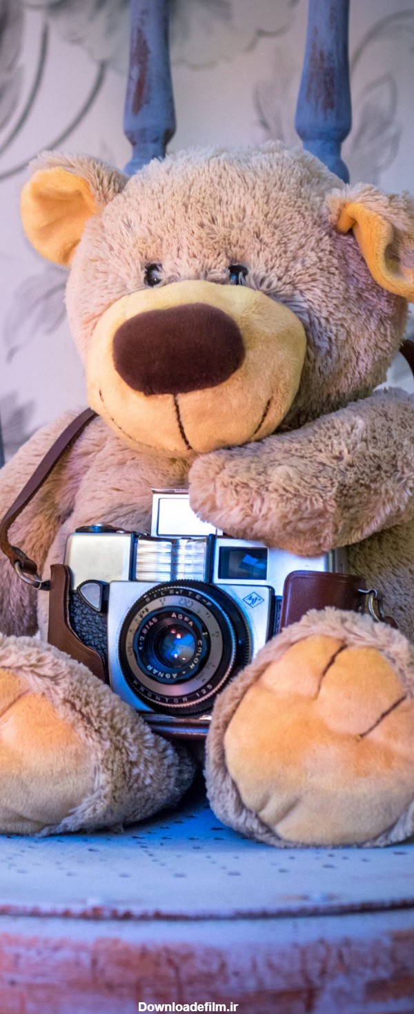 عکس با کیفیت خرس کیوت برای پس زمینه موبایل - والپیپر و بک گراند