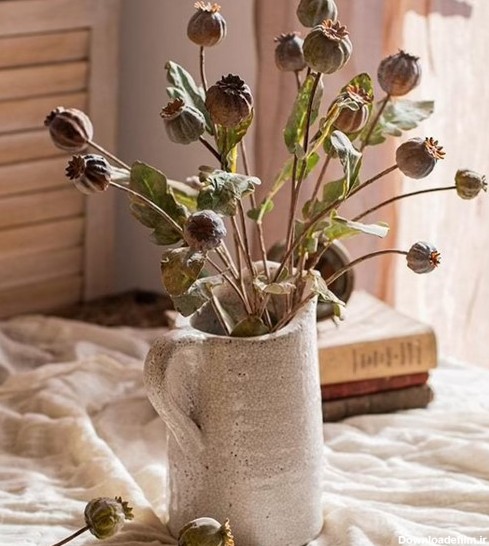 روش صحیح نگهداری گل خشخاش + نکات کلیدی خشک کردن آن | گلفروشی رضوان