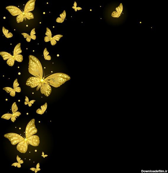 پروانه های طلایی تزئینی براق در پس زمینه مشکی 1628693