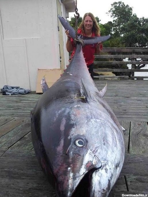تصاویر/ بزرگترین ماهی دنیا به تور افتاد! - Marcus Reid