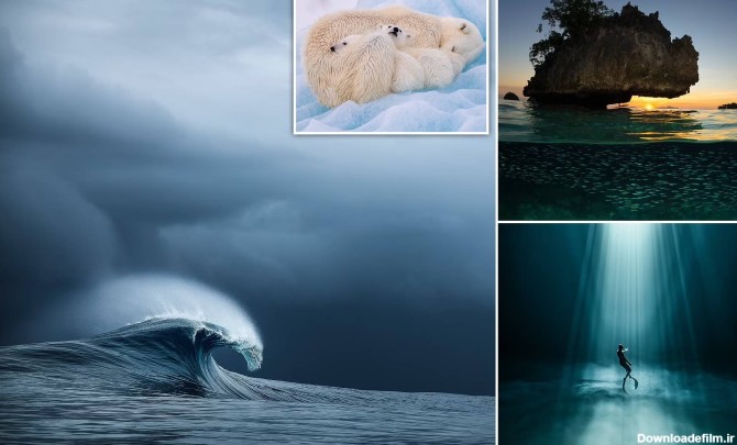 عکس های برگزیده از اقیانوس و دریا در سال ۲۰۲۲ + تصاویر - لپ تاپ استوک