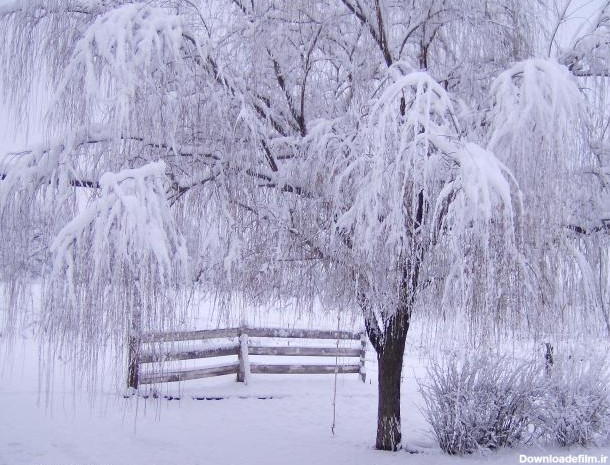 taamol در جانشین: چند عکس از زمستان برفی در طبیعت زمستان ...