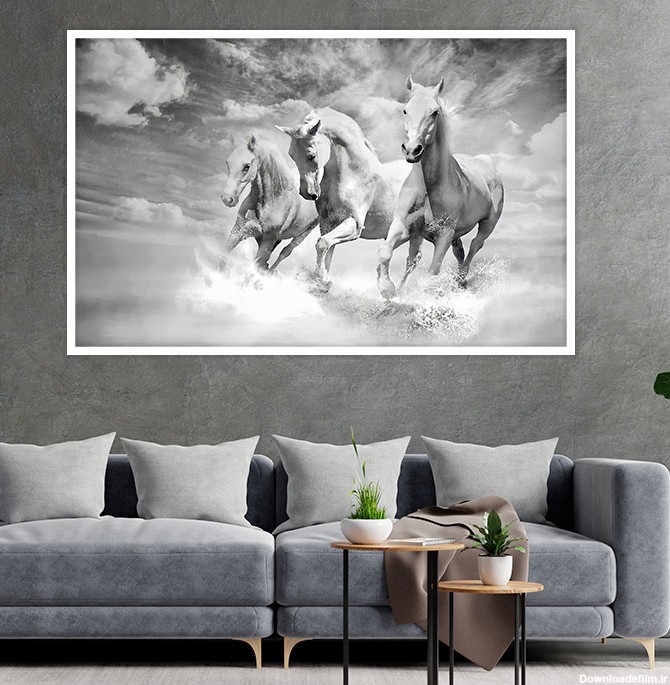 تابلو اسب دونده در فنگ شویی سیاه و سفید - سلین گالری
