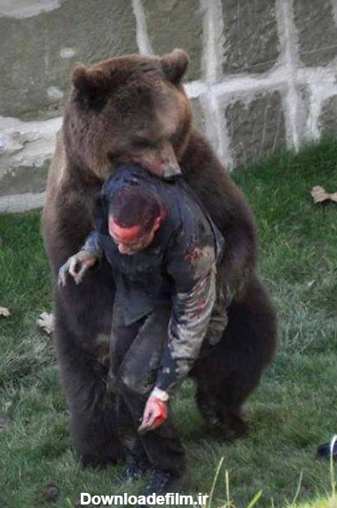 عکس/ حمله خرس وحشی به انسان