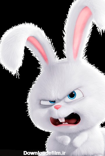 PNG خرگوش عصبانی - خرگوش کارتونی رایگان - Angry Rabbit PNG
