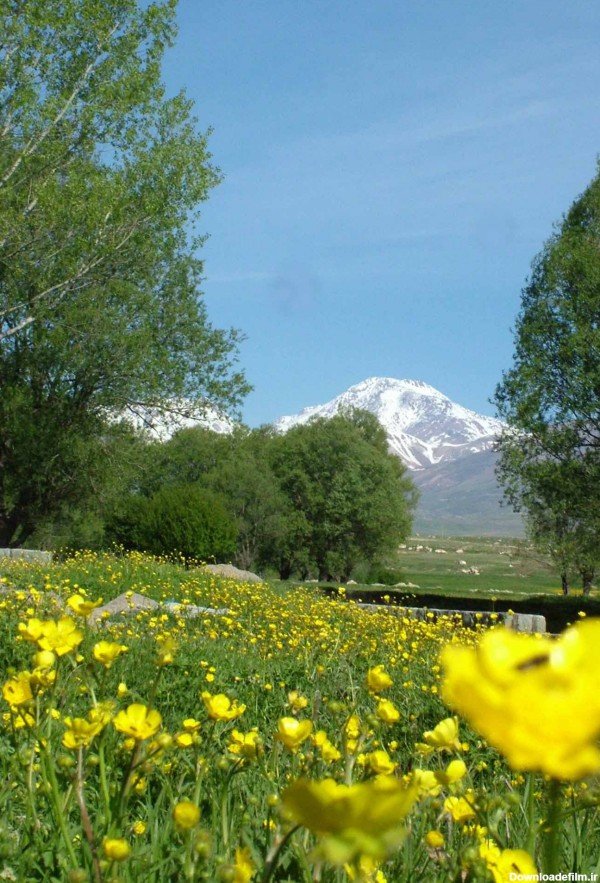 طبیعت بهار ایران 32 - ایران طرح