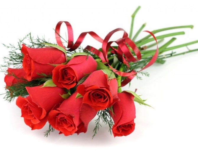 بهترین گل طبیعی برای هدیه دادن به عشقتان کدام است ؟