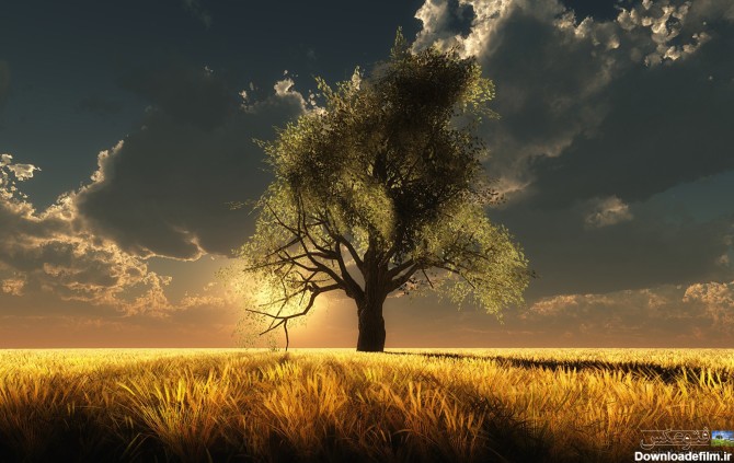 61 -تصاویر زیبای طبیعت ( 1 ) - سایت درخت سعادت