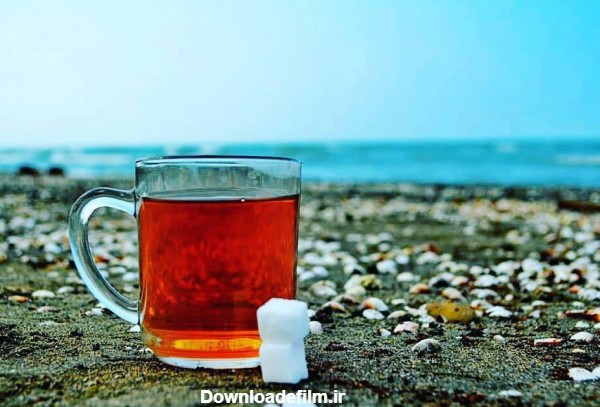 تصویری از چای در کنار دریای شمال ایران - فروش بهترین چای لاهیجان ...