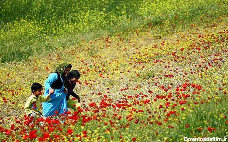زیبایی های کردستان در فصل بهار (تصویری)