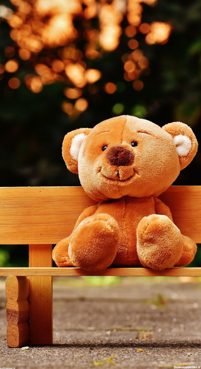 والپیپر کیوت خرس عروسکی برای موبایل - والپیپر و بک گراند