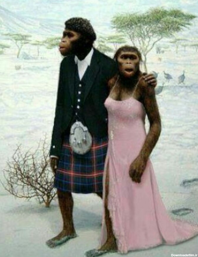 عروس و داماد به سلک میمون - عکس ویسگون